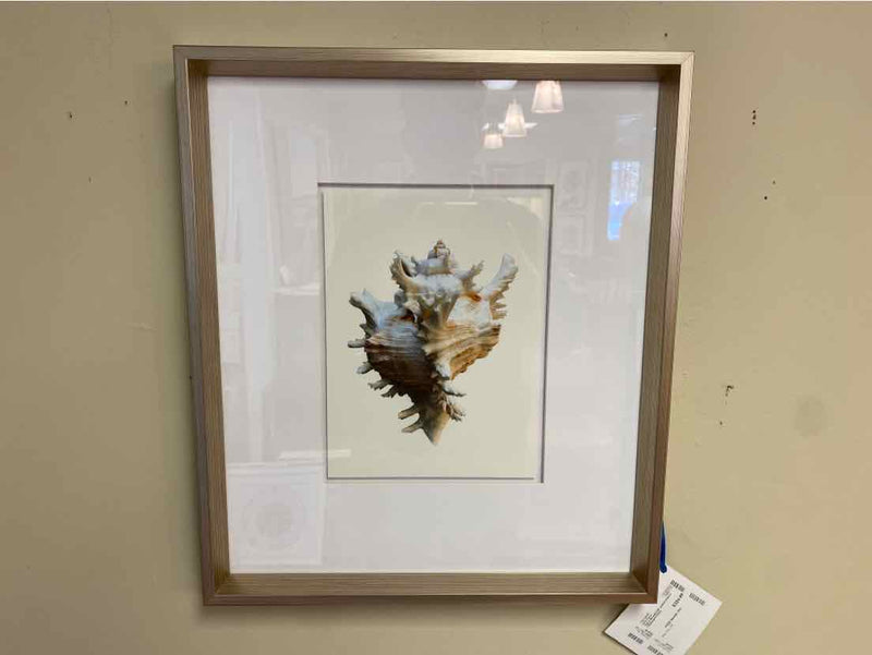 Framed Print:  "Spira Mirabilis VII"