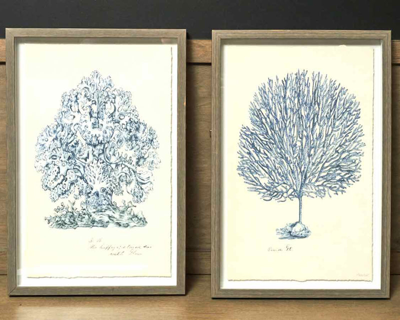 Pair Of Gray Framed Blue Coral Prints