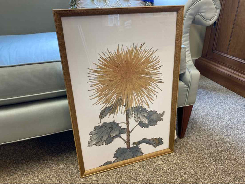 Framed Print"  "Chrysanthemum VII"