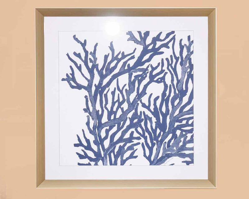 Blue Coral II Framed Print