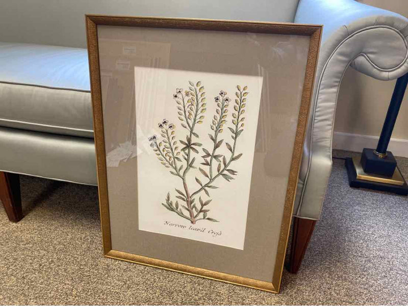 Framed Print: "Botanical Plants III"