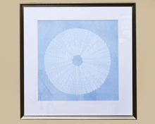 Tide Treaures I Framed Art