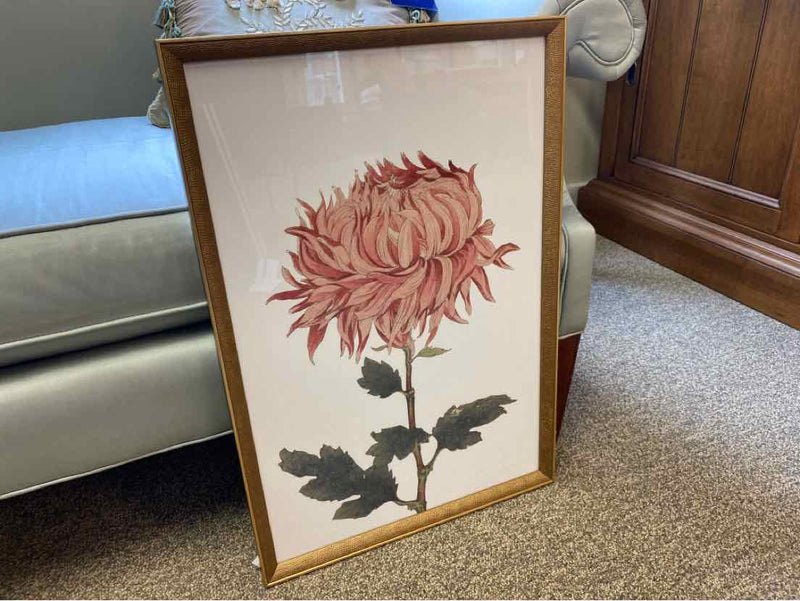Framed Print"  "Chrysanthemum III"