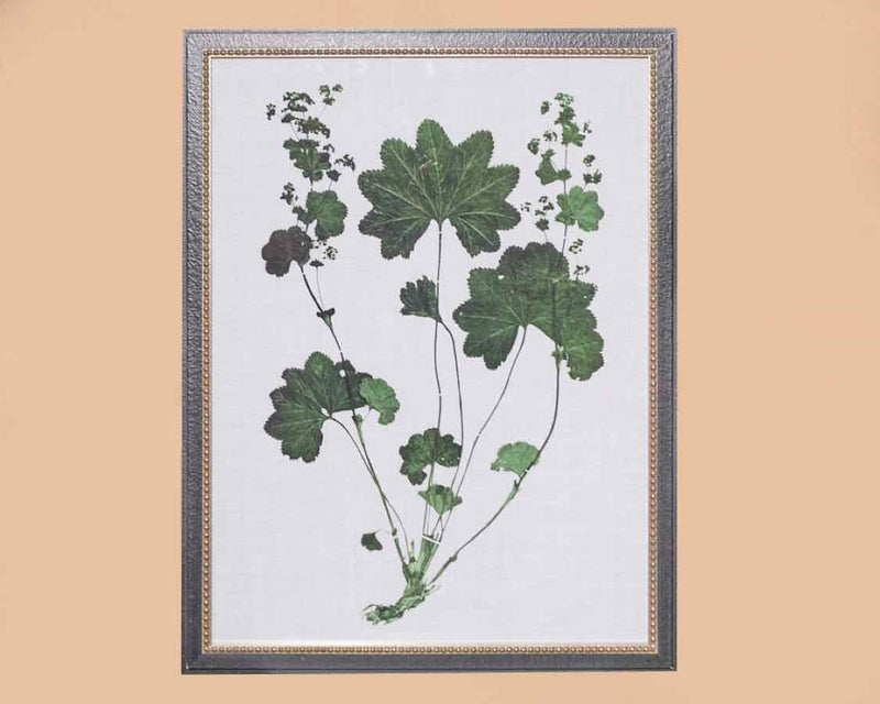 Forest Foliage I Art Print In Black Frame With Silver Bead Trim