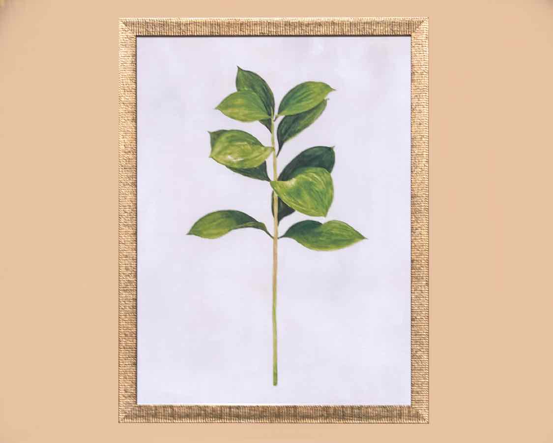 'Long Eucalyptus' Art Print In Textured Silver Frame