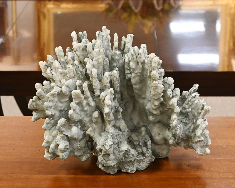 Sage Green Coral Sculpture