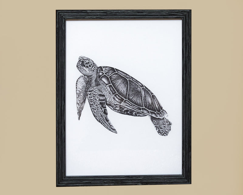 Under The Sea 'Turtle' Framed Print