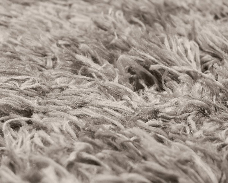 Shag Rug in Gray and Taupe