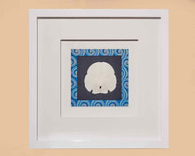 Sand Dollar III In White Shadow Box Frame & Triple Matt