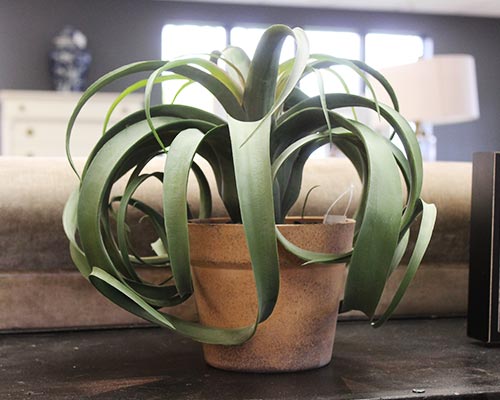 Decor - Artificial Airplant in a Pot