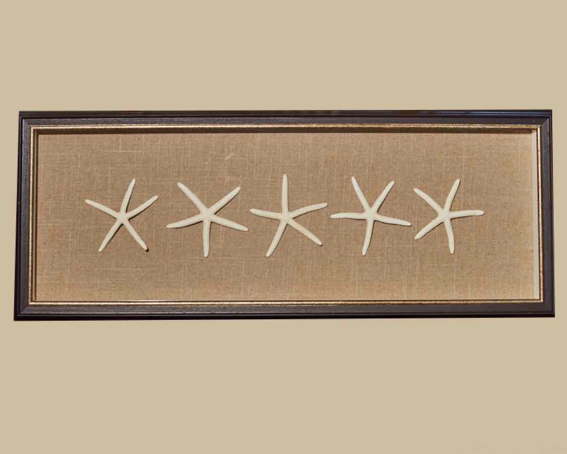 "Starfish"