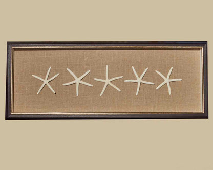 "Starfish"