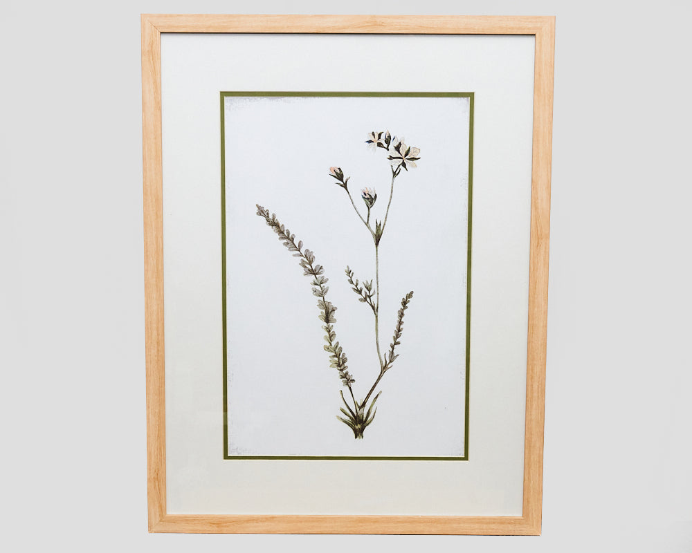 Wall Decor