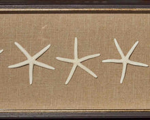 "Starfish"