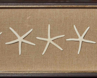 "Starfish"