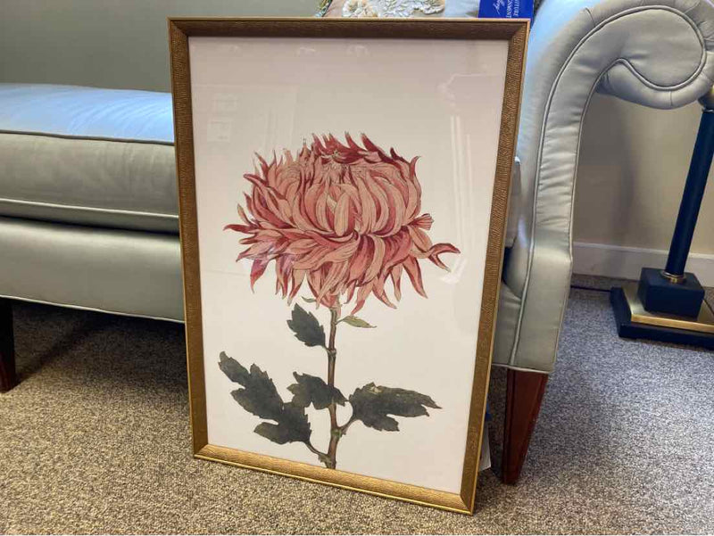 Framed Print"  "Chrysanthemum III"