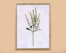 'Grass' Art Print In Textured Antiqued Silver Frame