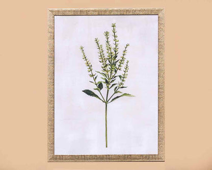 'Grass' Art Print In Textured Antiqued Silver Frame