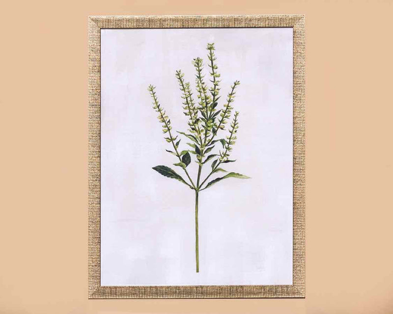 'Grass' Art Print In Textured Antiqued Silver Frame