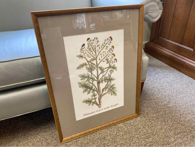 Framed Print: "Botanical Plants II"