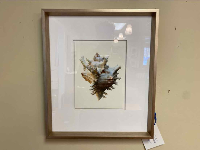 Framed Print:  "Spira Mirabilis VIII"