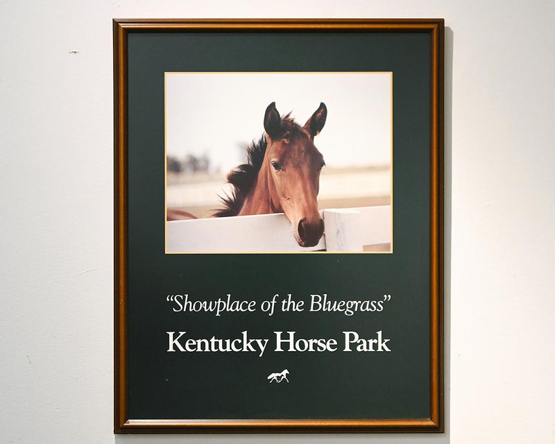 Kentucky Horse Park - Matted Print in Wood Frame