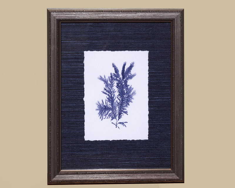 Framed Art Blue Coral I 4088