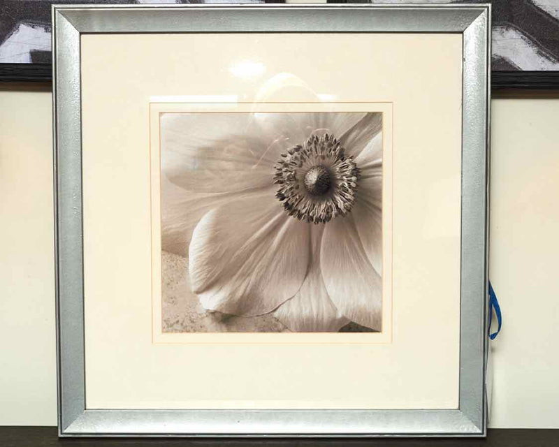 Black & White Photograph Of Flower Petals In Silver Frame & Double Matted