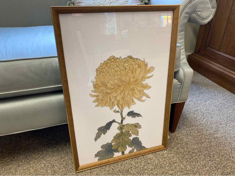 Framed Print"  "Chrysanthemum VI"