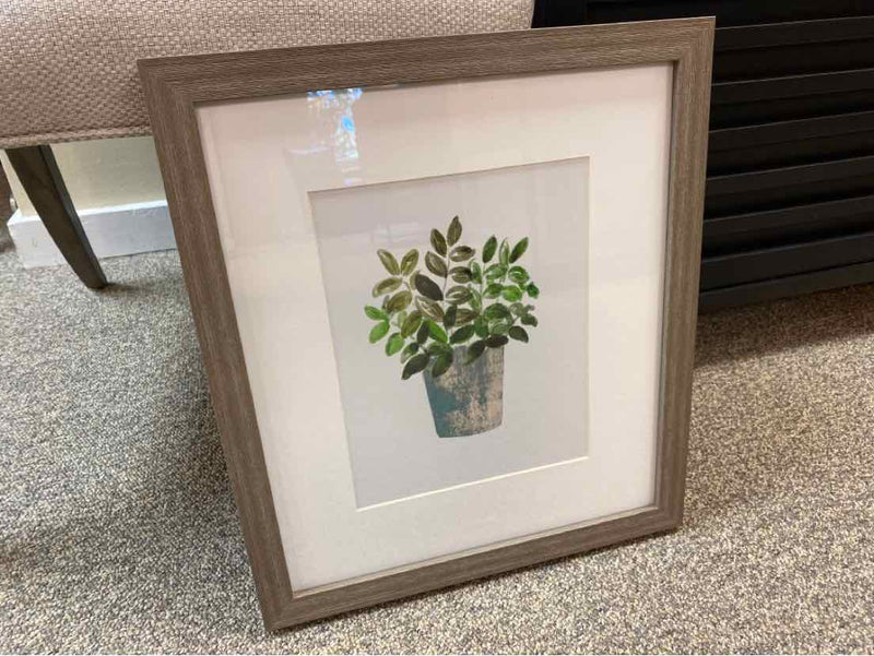 Framed Print:  "Houseplants I"