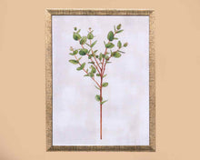 'Eucalyptus' Art Print In Textured Antiqued Siver Frame