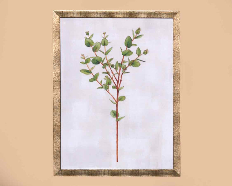 'Eucalyptus' Art Print In Textured Antiqued Siver Frame