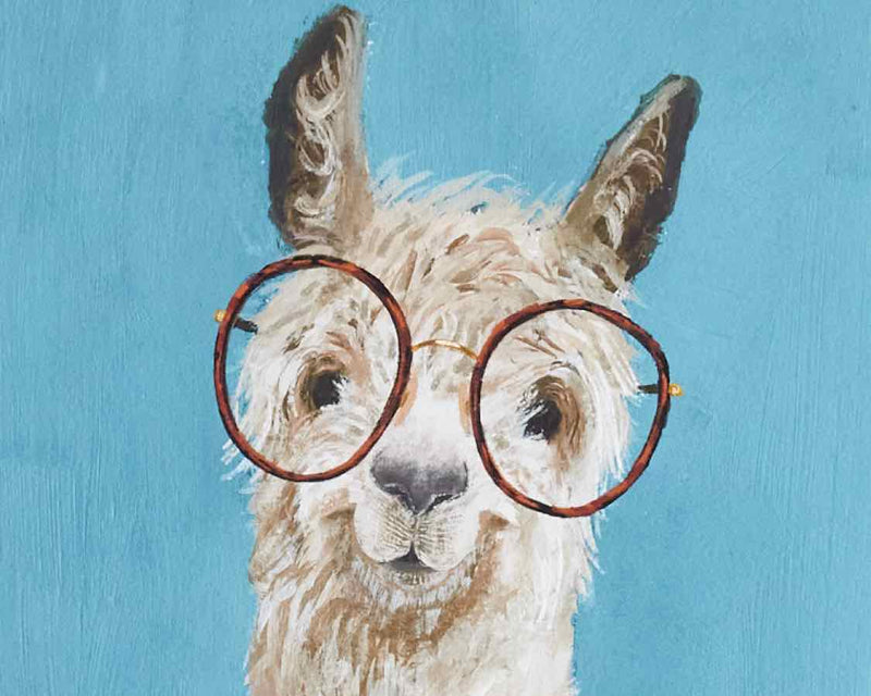 "Llama Specs 3"