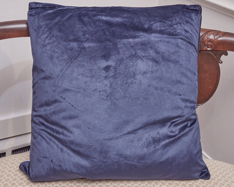 Canvas Linen Teal Urns Navy Velvet  Feather Filled Accent Pillow