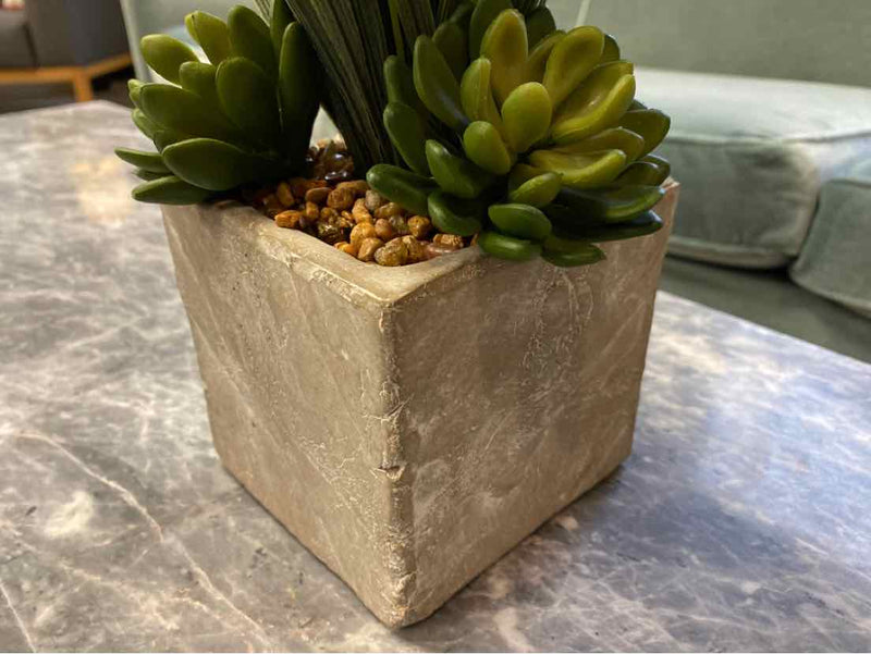 Grass & Succulents in Concrete Cube with Pebbles