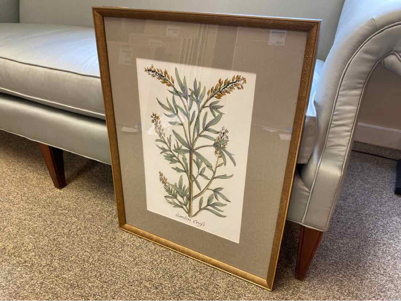 Framed Print: "Botanical Plants IV"