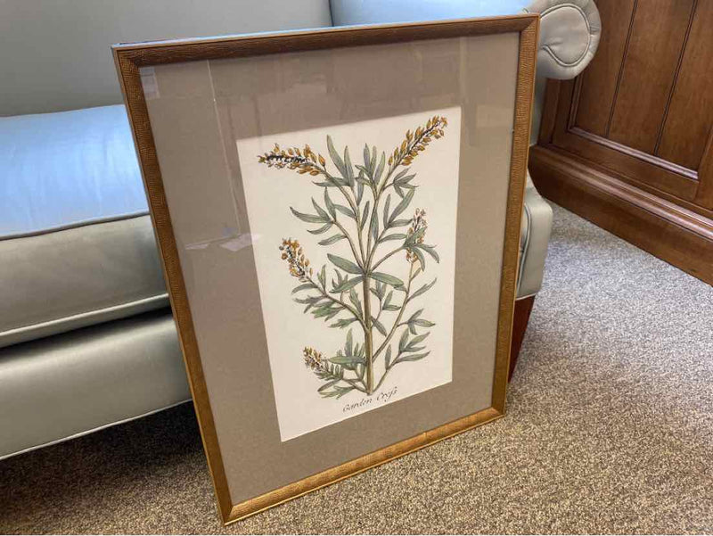 Framed Print: "Botanical Plants IV"