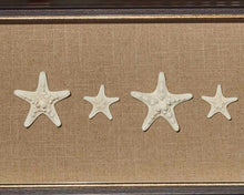 "Knobby Starfish"