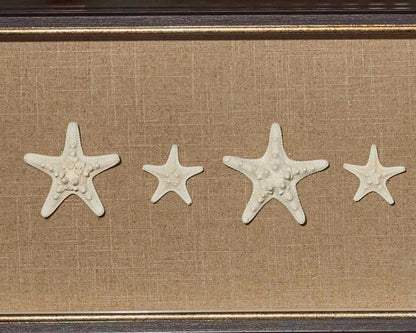 "Knobby Starfish"